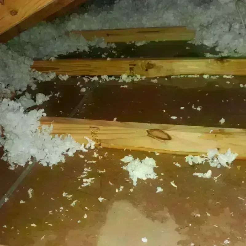 Attic Water Damage in Blue Ball, PA